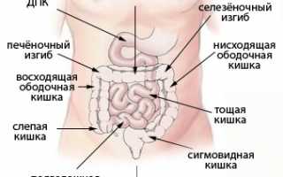 Слепая кишка